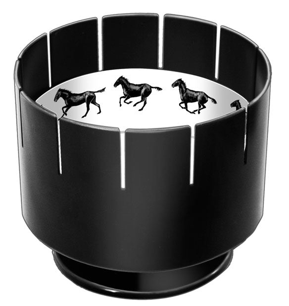 Who Invented the Zoetrope